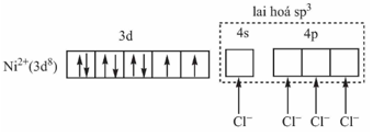 Tech12h